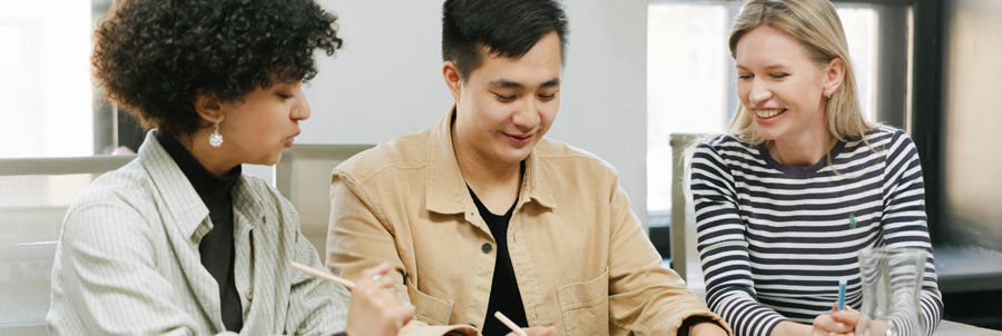 Schema Therapy Training